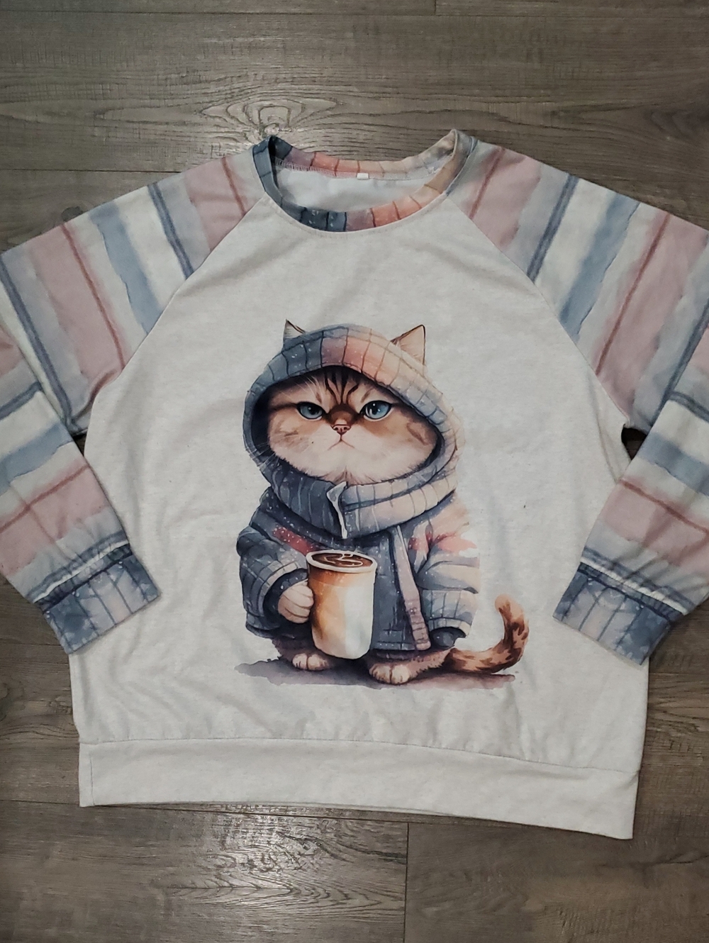 Cat Graphic Pullover Sweatshirt - Light Gray with Pastel Stripes